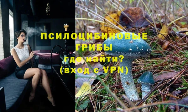 стафф Верхний Тагил